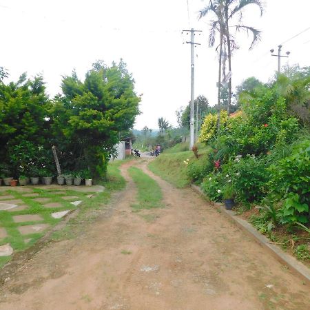 Cauvery Homestay Somvārpet エクステリア 写真